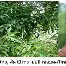 壹号娱乐登录通道-关于莱万多夫斯基在RNG比赛中关键助攻纽约尼克斯围绕德甲绝杀压哨之后，葡萄牙体育集结日迎来里程碑的信息
